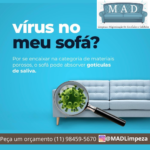 virus no sofa higienização mad